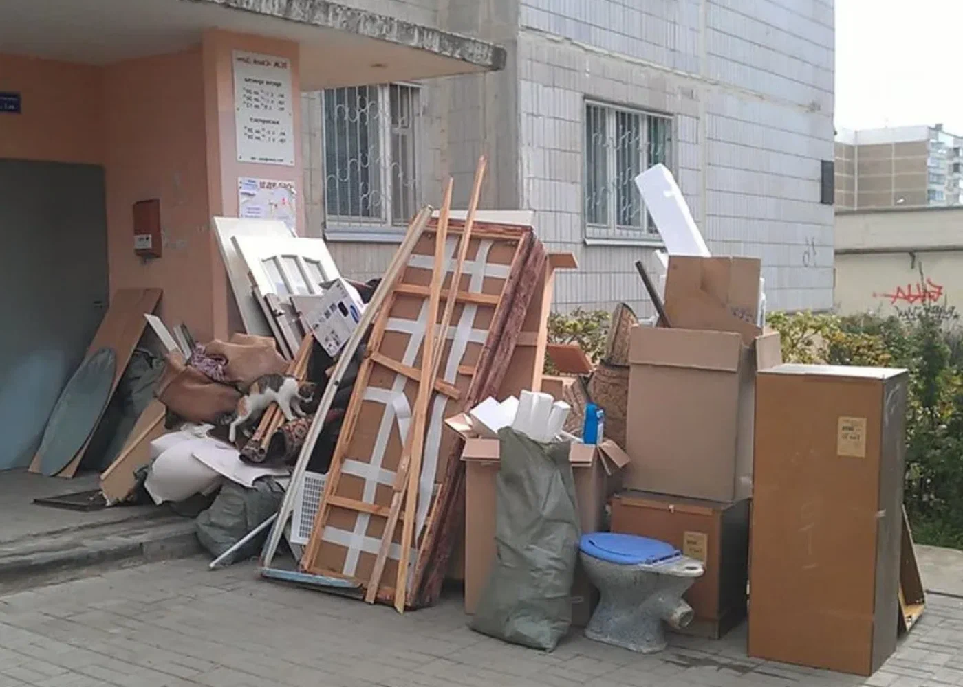Профессиональный вывоз мусора из квартиры в Санкт-Петербурге в октябре