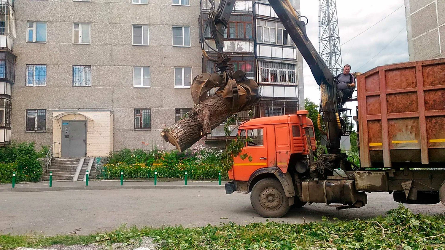 Вывоз спиленных веток и деревьев в Санкт-Петербурге от ПроМусор: порубочные остатки, утилизация, цена от 3082 руб