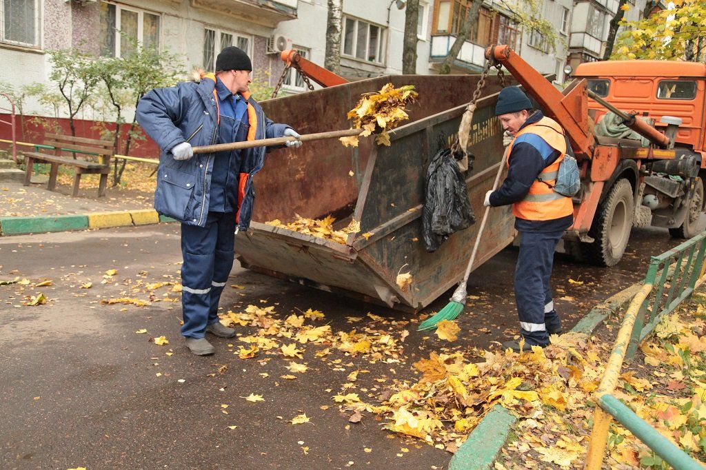 Вывоз опавшей листвы и растительного мусора в Санкт-Петербурге от ПроМусор – цена от 4783 руб., быстрая уборка и утилизация